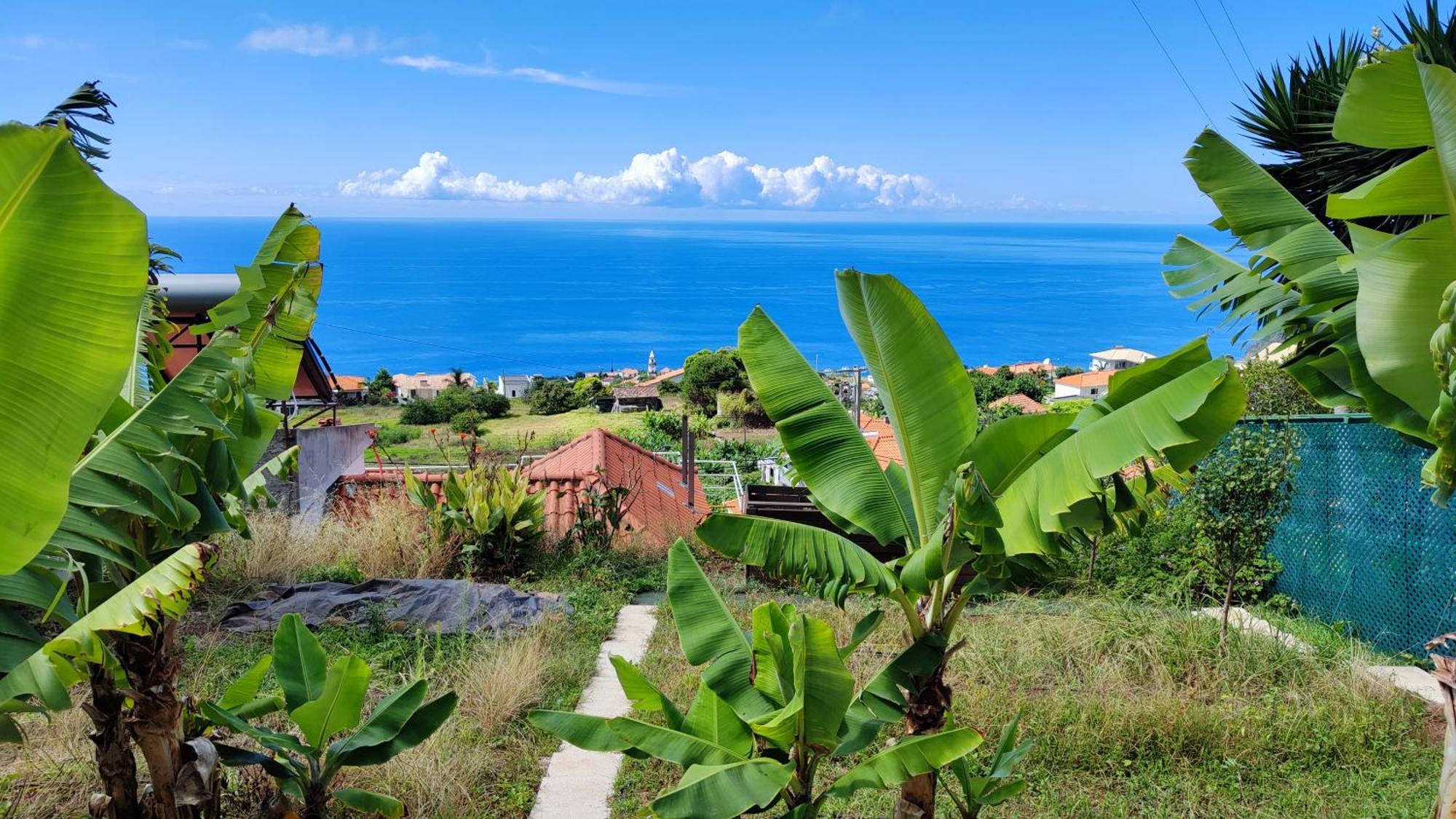 Vista Romantica Madeira Арко да Калйета Екстериор снимка